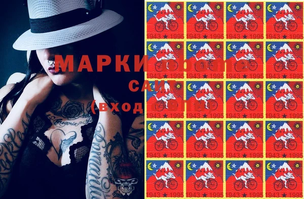 стафф Дмитровск