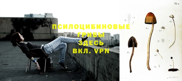 дмт Нефтегорск